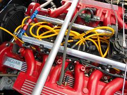 How I Feel Looking at the V12....-dscn8783.jpg