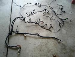 Removing the injector/engine compartment wiring harness in an XJR-S-engine-management-system.jpg