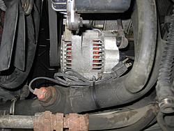 Radiator and Blow-by-lower-radiator-hose.jpg