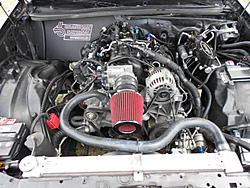 A little XJS-LS tidbit for you.....-buick-cute-dogs-010.jpg