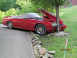 What happened ??-img_1890.jpg