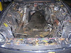 The Build  "89 Jacobra"-466.jpg