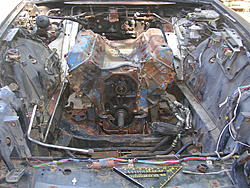 The Build  "89 Jacobra"-014-2-.jpg