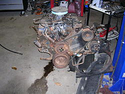The Build  "89 Jacobra"-470.jpg