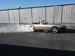 XJS Prices Seem to be Climbing: Will it Become the Next True Collectible Jaguar?-wild-cat-burnout-006.jpg