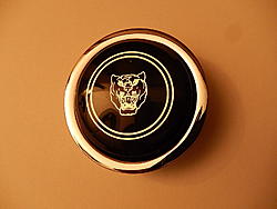 rare vintage horn button-s-l1600.jpg