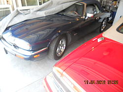 Celebration XJS-dscn1746.jpg