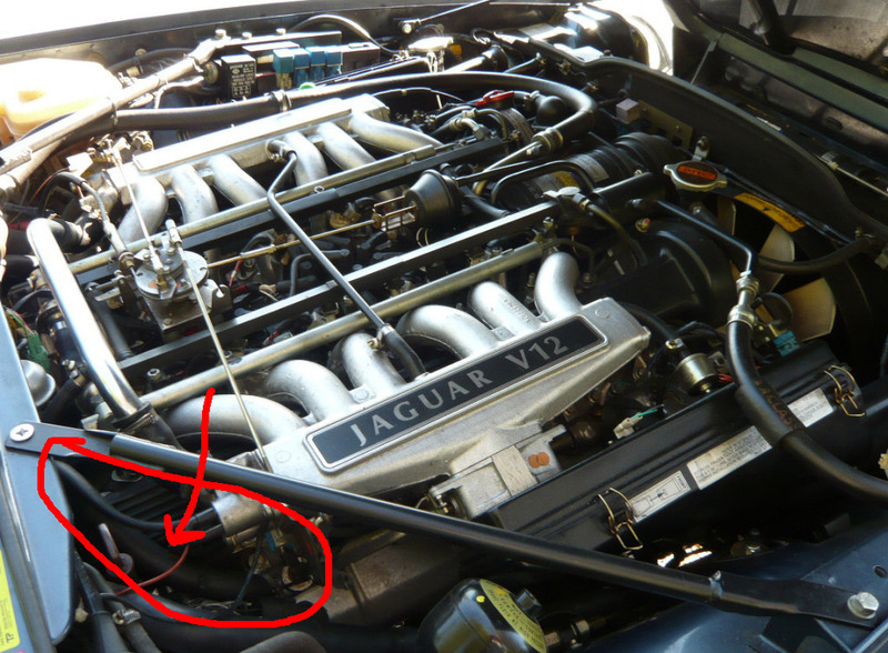 Name:  coolant%20hose%20marked_zpss1t6mig9.jpg
Views: 4192
Size:  235.2 KB