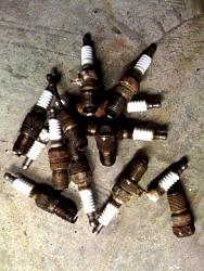 Spark Plug Removal-plugs.jpg