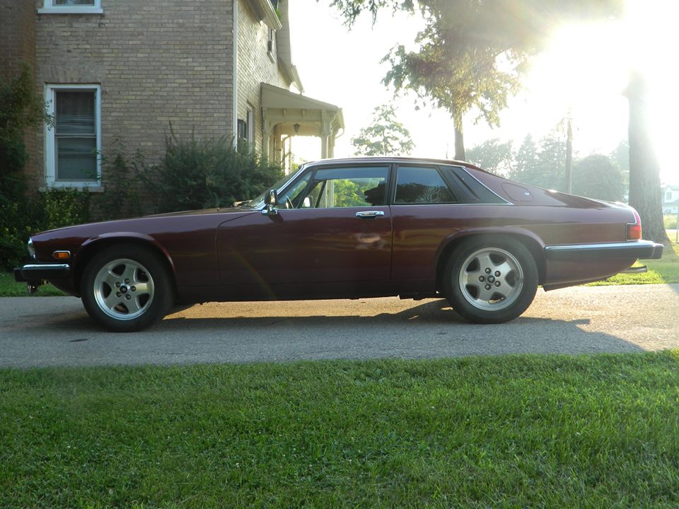 Name:  jag905_zpsff473228.jpg
Views: 110
Size:  132.2 KB