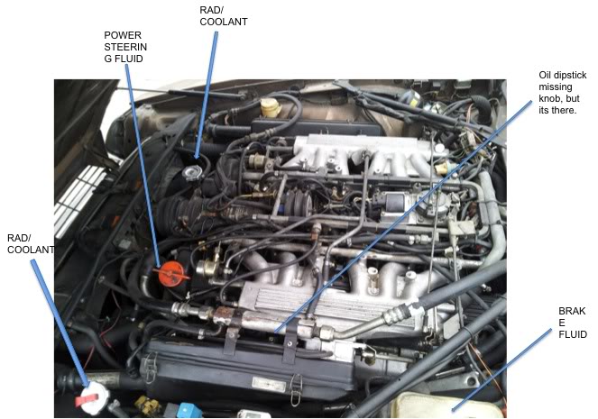 Name:  XJSV12ENGINEBAY.jpg
Views: 3200
Size:  62.9 KB