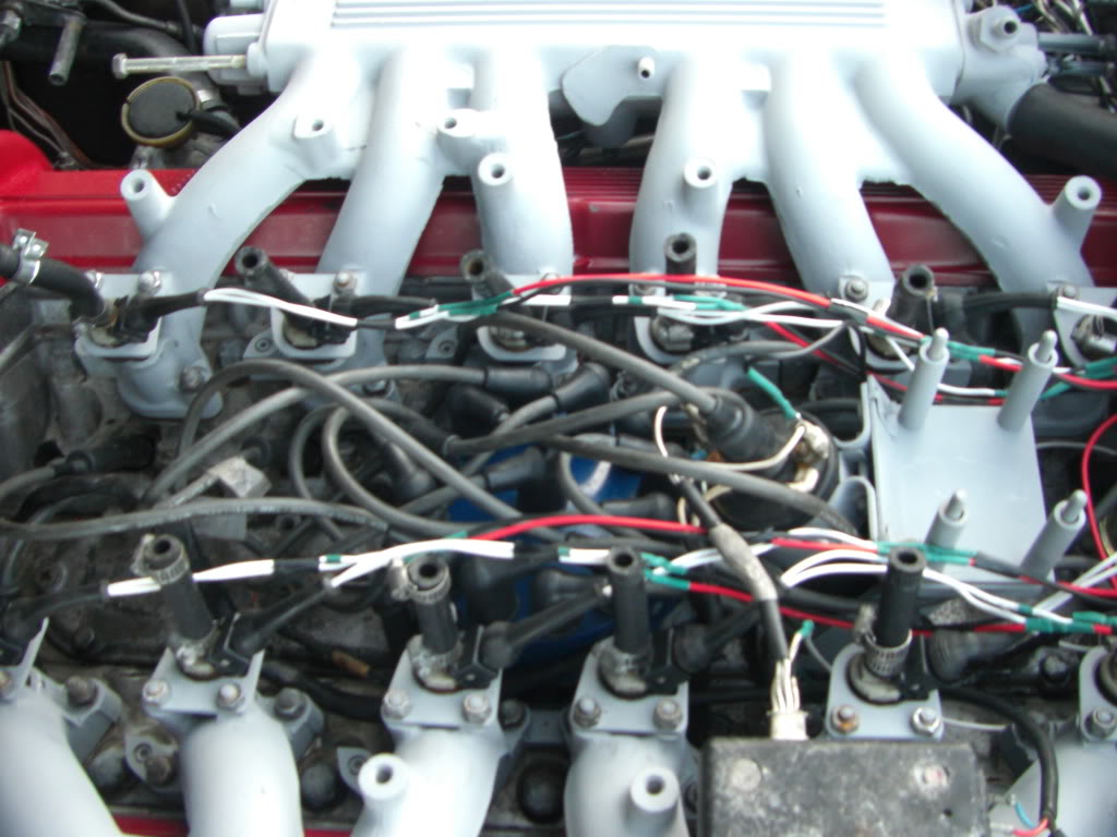 Name:  CIMG3785.jpg
Views: 244
Size:  106.2 KB