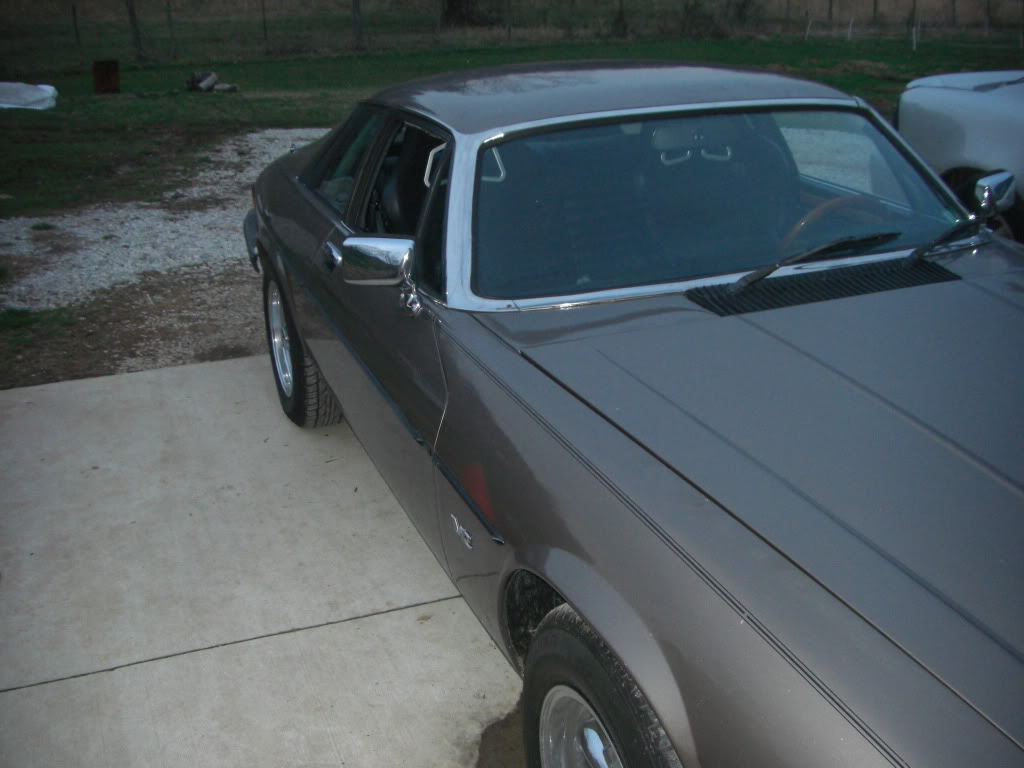 Name:  CIMG3709.jpg
Views: 1255
Size:  76.3 KB