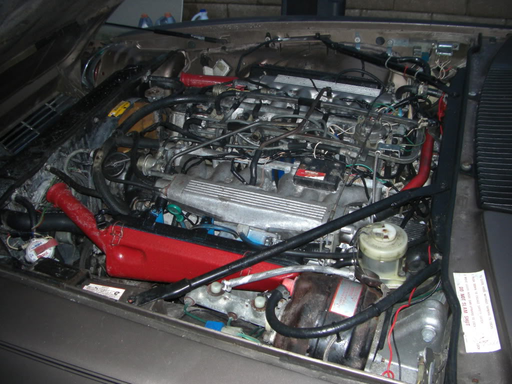 Name:  CIMG3712.jpg
Views: 1263
Size:  156.5 KB