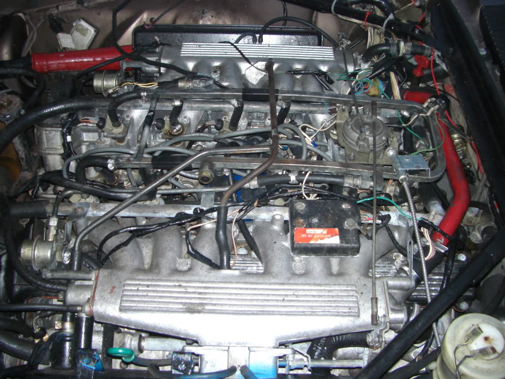Name:  CIMG3713.jpg
Views: 1468
Size:  191.4 KB