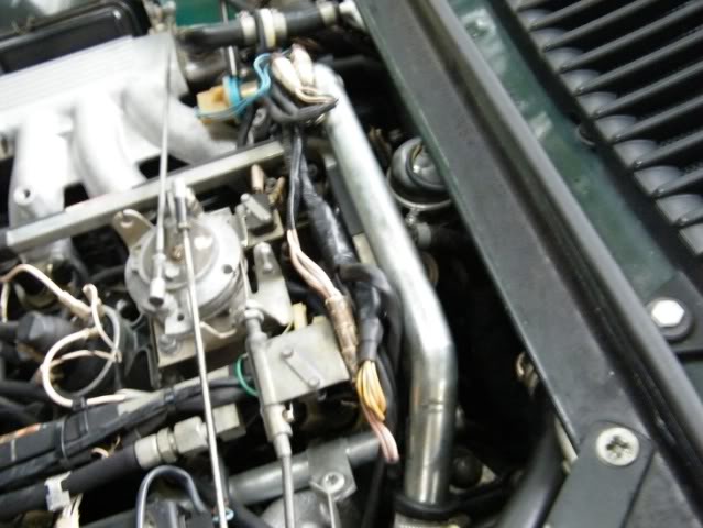 Name:  DSCF1477small.jpg
Views: 74
Size:  49.2 KB