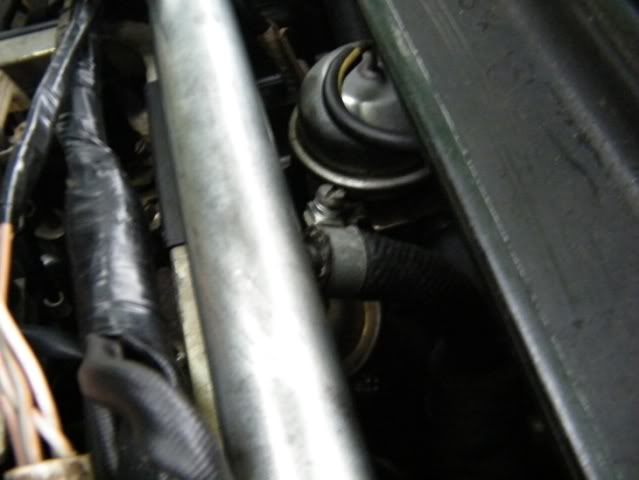 Name:  DSCF1476small.jpg
Views: 65
Size:  28.9 KB