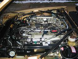Engine bay pics.-xjs-engine003.jpg