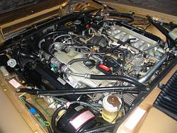 Engine bay pics.-xjs001.jpg