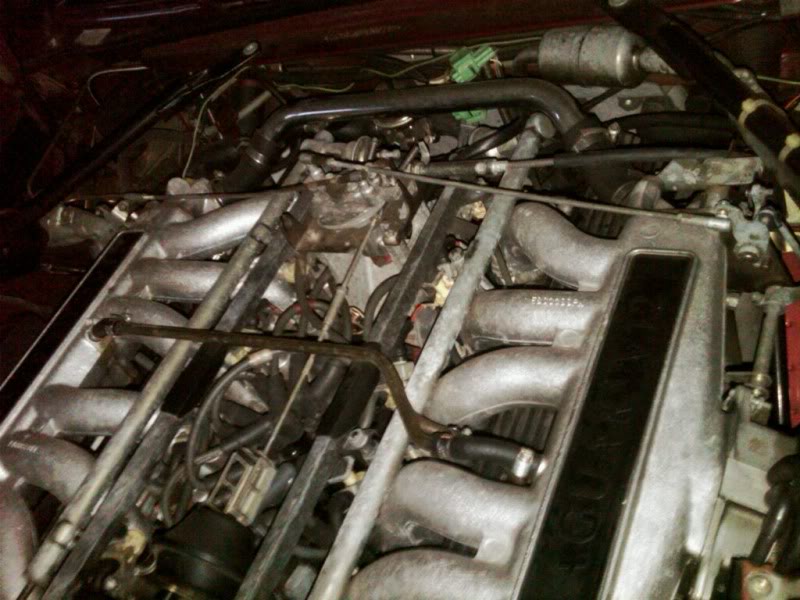 Name:  engine.jpg
Views: 697
Size:  82.5 KB