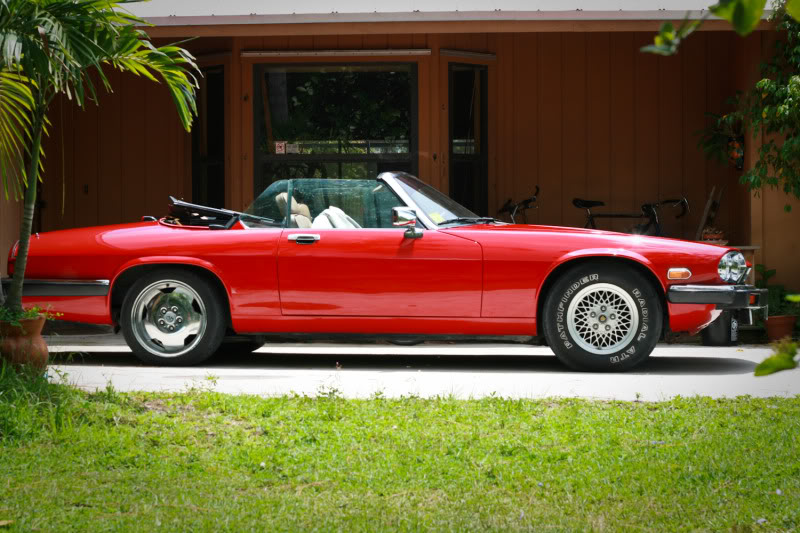 Name:  Jaguar-009.jpg
Views: 89
Size:  107.1 KB