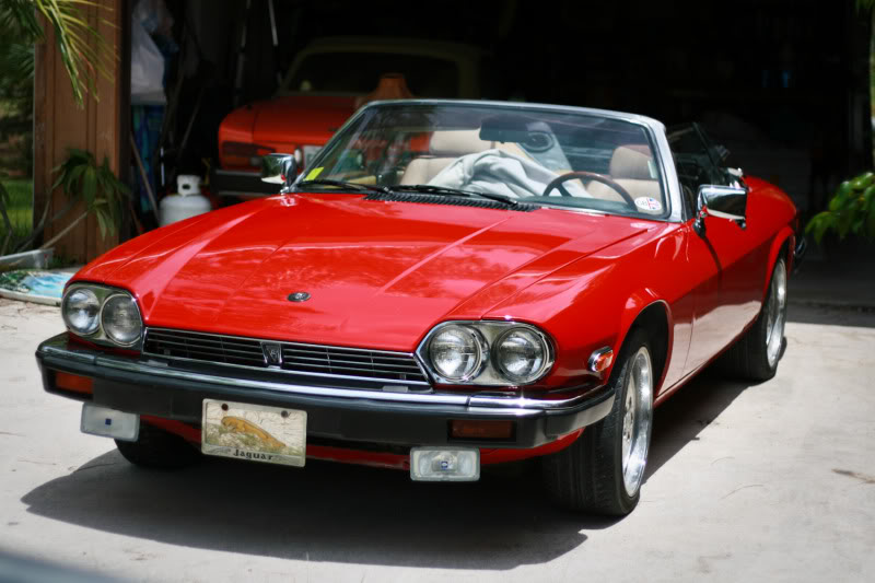 Name:  Jaguar-015.jpg
Views: 87
Size:  72.0 KB