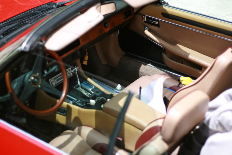 Name:  Jaguar-018.jpg
Views: 92
Size:  65.4 KB