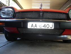 Silly looking jag-xjs-mesh-grille-2.jpg