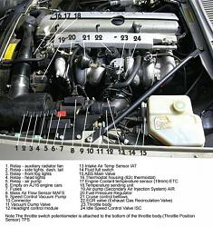 1994 Jaguar XJS 4.0 V6 Goop on spark plugs-aj16.jpg