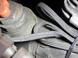 Cold Weather Package...Haven't seen this-lower-hose-heater.jpg