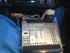 Radio Dead-img_7881.jpg