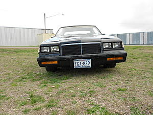Chevy V8 instead of the original V12-buick-cute-dogs-013.jpg