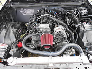 Chevy V8 instead of the original V12-buick-cute-dogs-010.jpg