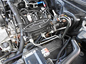 Chevy V8 instead of the original V12-buick-cute-dogs-011.jpg