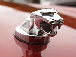 Jaguar Hood Ornament-jag-head.jpg