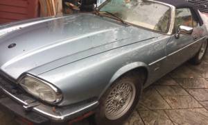 Newbie, just got a 1996 v12 convertible yesterday-jaguar-1.png