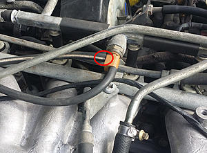 Found the whistle - now what?-fig2.jpg