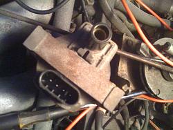Fire Victim 173-coil-001.jpg