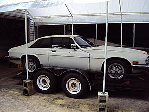 What XJS Related Photo did you take today-dsc04218.jpg