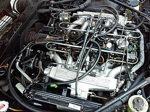 Bought a low mileage XJS-n4egago.jpg
