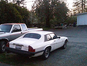 Bought a low mileage XJS-2ci1t63.jpg