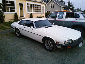 Bought a low mileage XJS-qjx64av.jpg