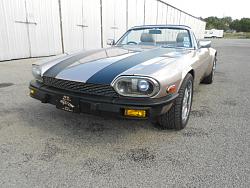 added some bling to the XJS rodster.-jag-strips-10-22-2012-001.jpg