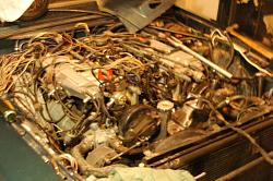 '83 track car build-471217_1956643212348_1691184036_o.jpg