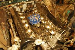 '83 track car build-462592_1961538774734_336096400_o.jpg