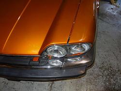 The XJS Is Fat And Overgrown-dsc00076.jpg