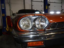 The XJS Is Fat And Overgrown-dsc00071.jpg
