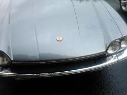 Updated XJS Grill and Leaper-2012-12-12-11.40.23.jpg