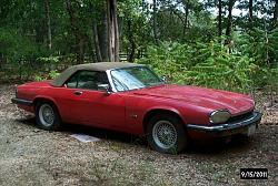 My 92 XJS Conv Build Thread-p0003069.jpg