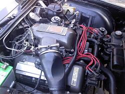 My 92 XJS Conv Build Thread-4pt6-svt-cobra.jpg